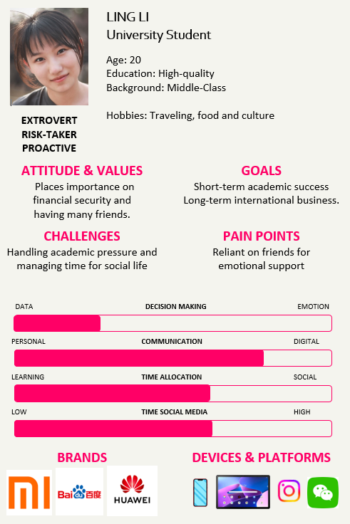example student persona