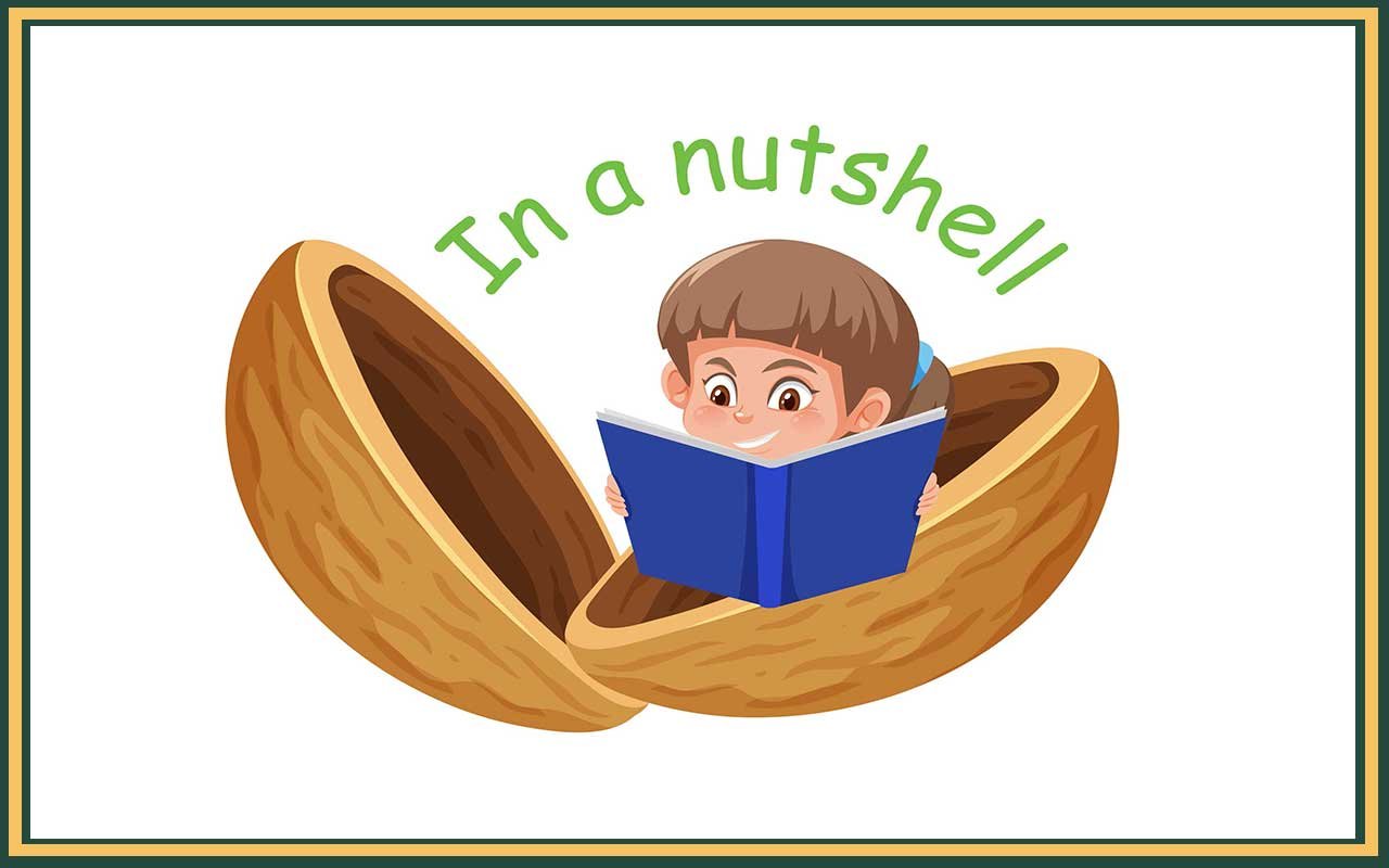 what is a metaphor like this boy reading a book whilst inside a big nutshell, for the metaphor in a nutshell