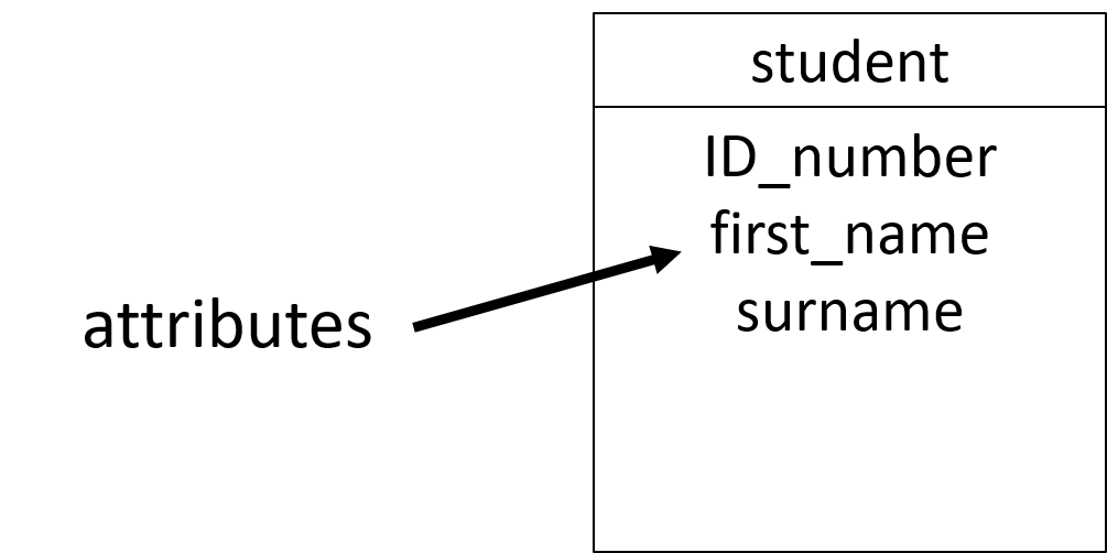 ER diagram with an entity and attributes