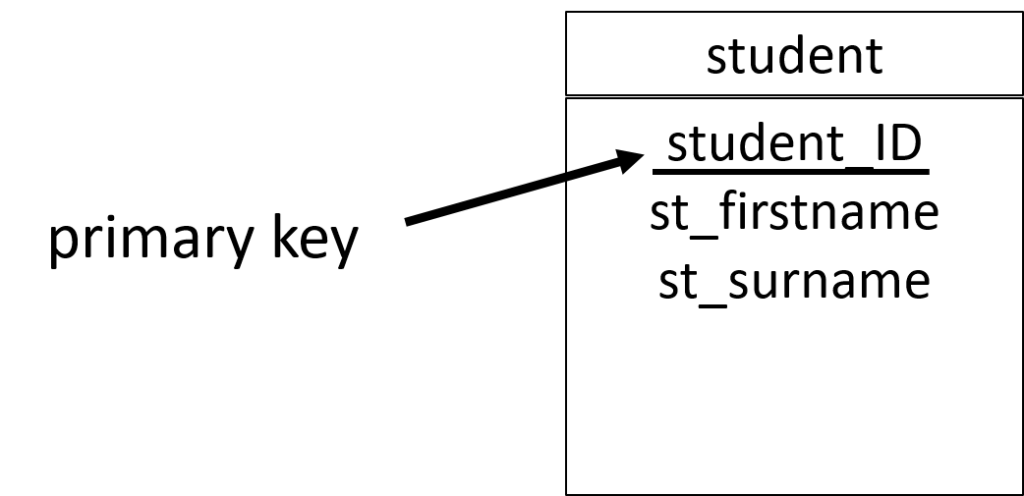 ER diagram with a primary key
